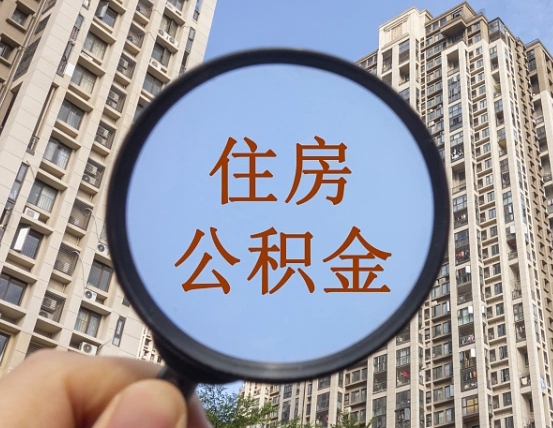 沙洋退休后查不到公积金明细了吗（退休后公积金查询不到原因）